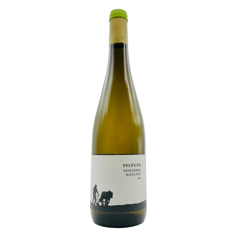 Riesling Spielberg Demeter 2019 Pflüger Pfalz